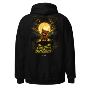 little paws big dreams kitten hoodie
